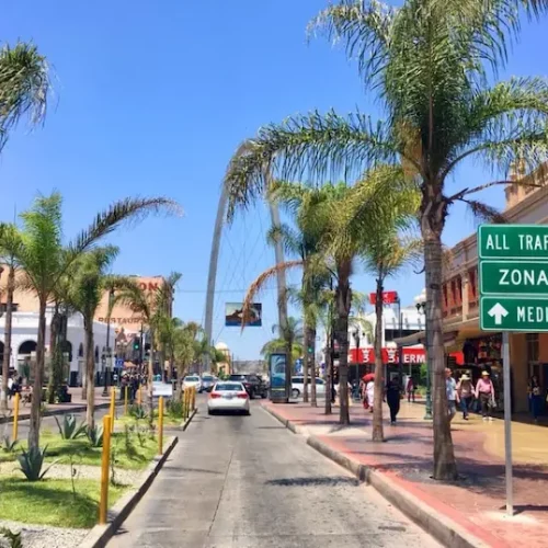 A street with palm trees and a street sign in Tijuana.